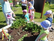 Zahrádka ve školce